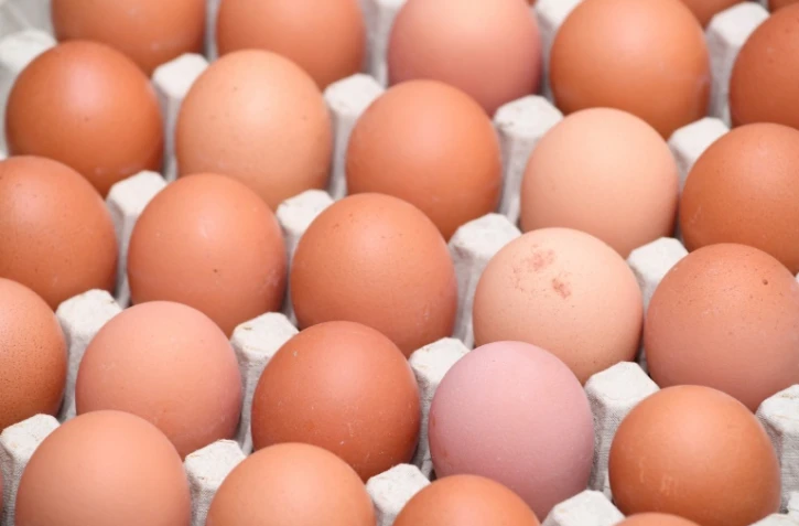 Oeufs contaminés: distributeurs et industriels se renvoient la responsabilité