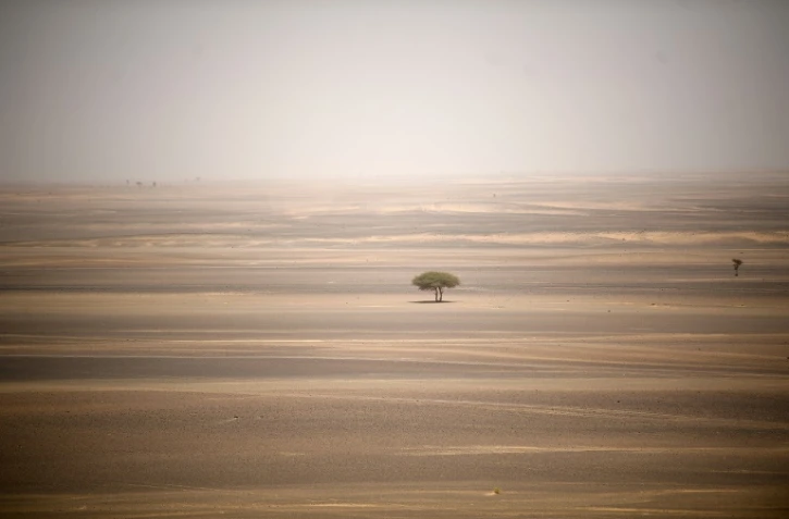 Un couple de professeurs de musique girondins qui voulaient "sacrifier" leur fils de cinq ans dans le Sahara, selon la Garde civile espagnole, a été arrêté fin décembre à Algésiras et se trouve sous le coup d'une procédure d'extradition