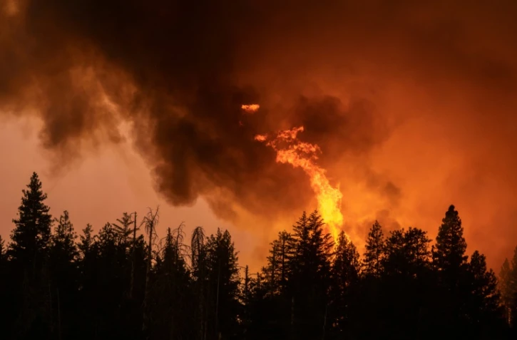 Une forêt en train de brûler pendant l'incendie "Oak Fire" dans l'Etat de Californie, le 23 juillet 2022 