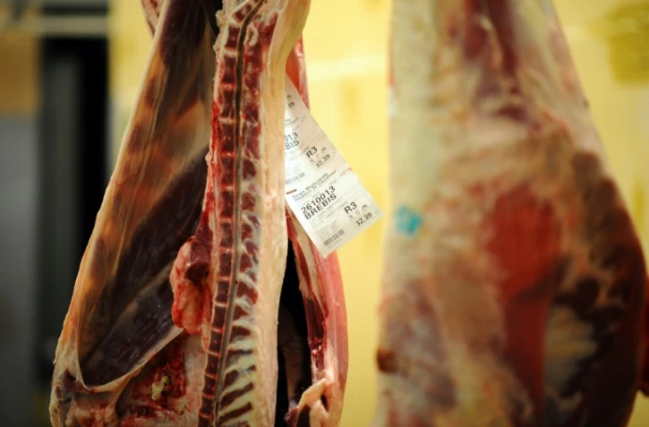 Le journaliste indépendant Geoffrey Le Guilcher s'est fait embaucher incognito dans un abattoir breton et en a tiré un livre "Steak machine"