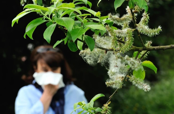 Photo d'une femme qui souffre d'une allergie  aux pollens prise le 18 mai 2013 à Godewaersvelde, dans le nord de la France