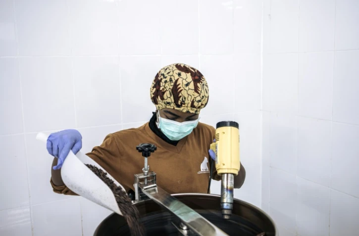 Début de processus pour les fèves de cacao à la chocolaterie de Virunga Origins, à Mutwanga le 18 novembre 2020