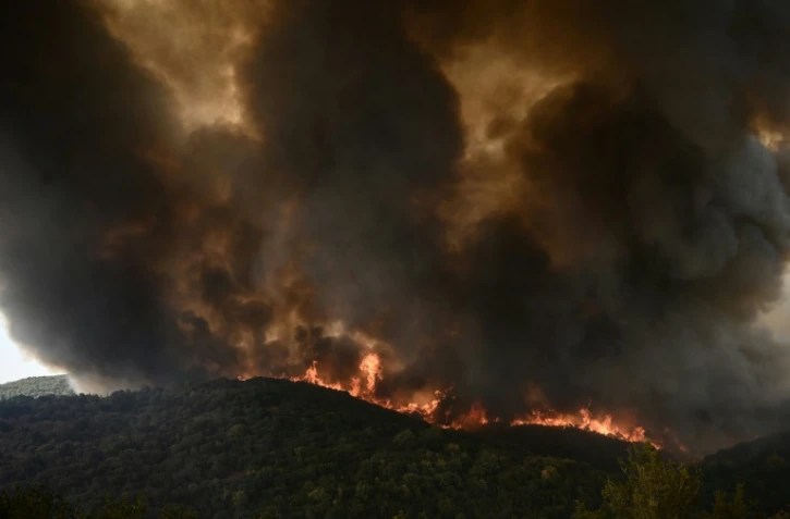 Incendie de forêt à Sikorahi, près d'Alexandroupoli, le 23 août 2023 dans le nord de la Grèce