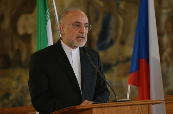 Le chef de l'Organisation iranienne de l'énergie atomique (OIEA) Ali Akbar Salehi le 2 mai 2016 à Prague