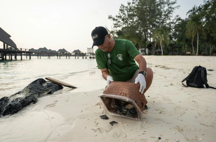 Un défenseur de l'environnement s'occupe de tortues sur l'île de Mataking, en Malaisie, le 25 septembre 2026