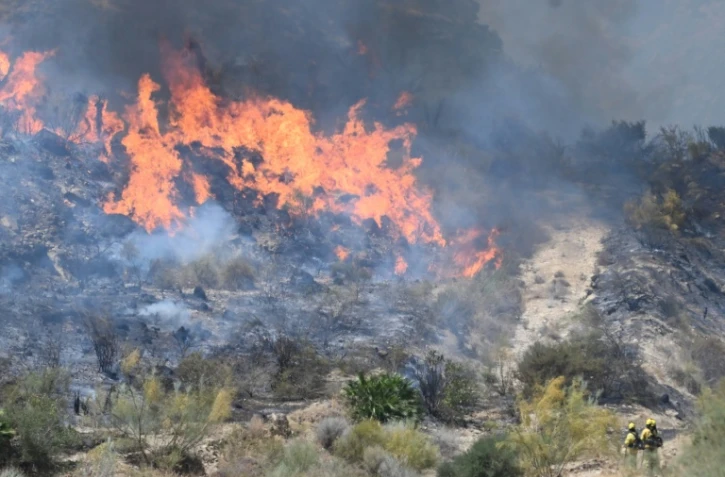 Des pompiers de l'Infoca (service de lutte contre les incendies de forĂŞt d'Andalousie) s'emploient Ă Ă©teindre un incendie sur les lieux d'un feu de forĂŞt ayant causĂ© la mort de 11 personnes près de Bedar, dans le district de Los Gallardos (province d'AlmerĂa), le 10 juillet 2026