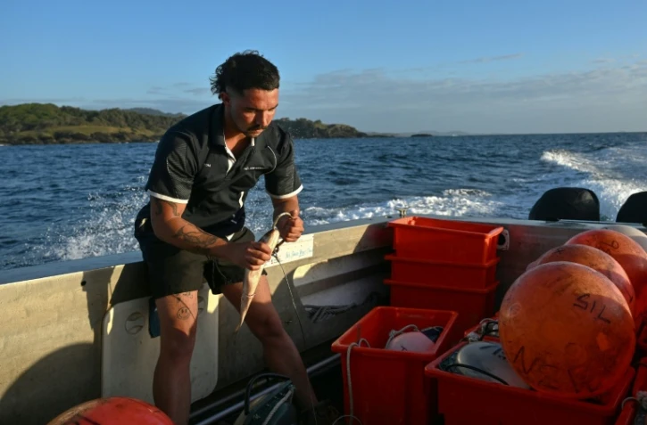 Charlie Kerr, membre du programme de surveillance des requins, prépare des lignes équipées d'hameçons appâtés reliées à des bouées connectées, le 10 novembre 2025 près de Coffs Harbour, en Nouvelle-Galles du Sud, en Australie