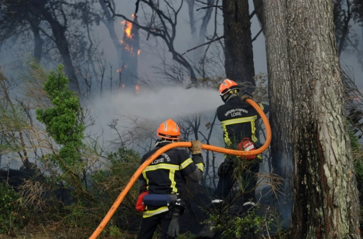 Des sapeurs-pompiers tentent d'éteindre l'incendie de forêt de Saint-Cannat, dans les Bouches-du-Rhône, le 15 juillet 2017