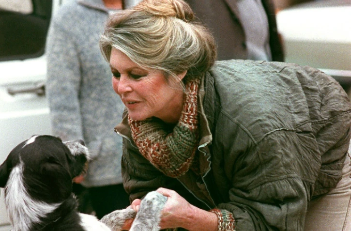 Brigitte Bardot, au refuge de Cabriès (Bouches du Rhône), le 17 janvier 1989