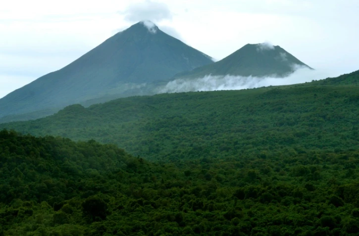La forêt dans la région congolaise du Nord-Kivu