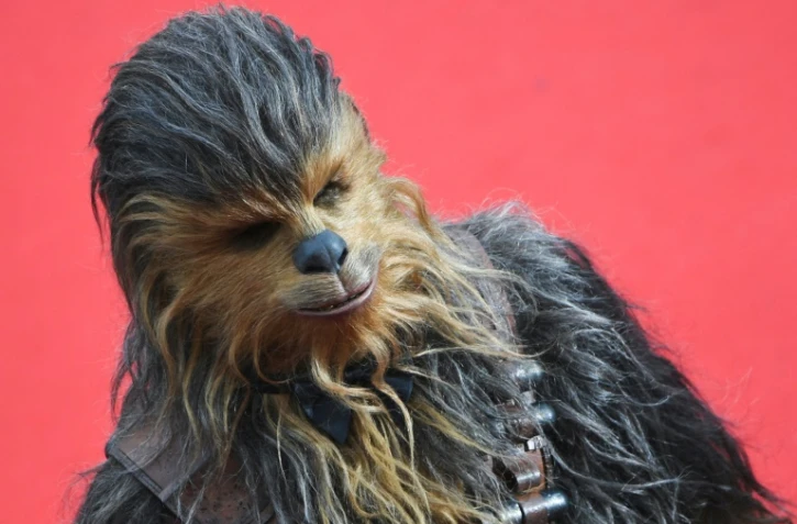 Chewbacca en train de laisser des poils sur le tapis rouge de la présentation "Solo: A Star Wars Story" au festival du film de Cannes (France), le 15 mai 2018