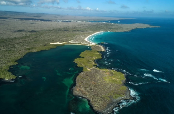 Vue aérienne de Tortuga Bay, dans l'île de Santa Cruz, le 21 janvier 2018 aux Galapagos