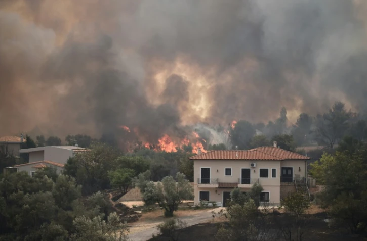 Le feu à Afidnes, 30 km au nord d'Athènes, le 6 août 2021
