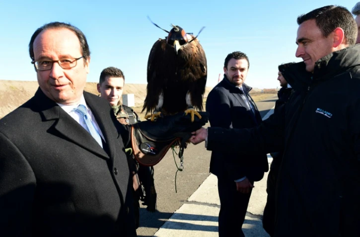 François Hollande et un faucon utlisé pour lutter contre les drones, lors d'une visite à Mont-de-Marsan, le 6 janvier 2017. 
