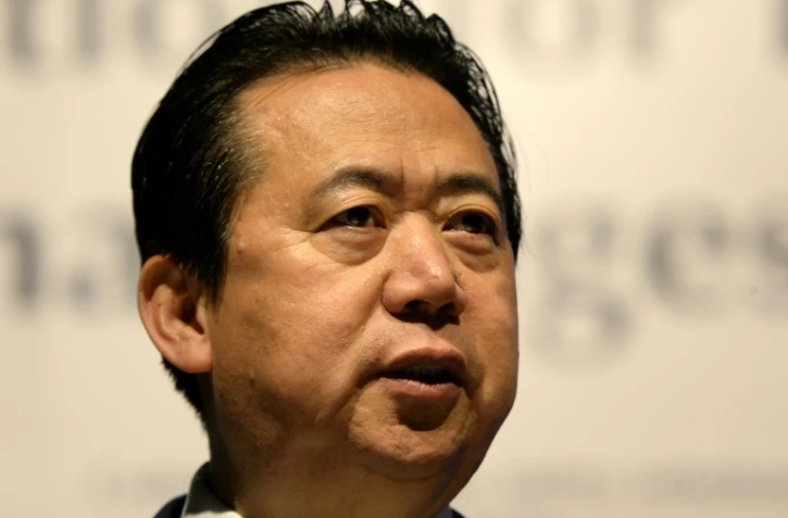 Photo prise le 4 juillet 2017 à Singapour du président chinois d'Interpol Meng Hongwei porté disparu