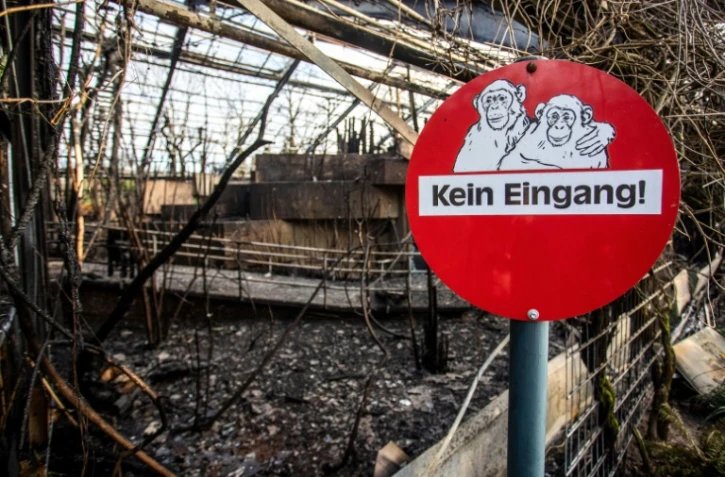 Un panneau portant les mots "Entrée interdite", à l'entrée de l'enclos des singes du zoo de Krefeld en Allemagne, détruit par un incendie dans la nuit du 1er janvier 2020