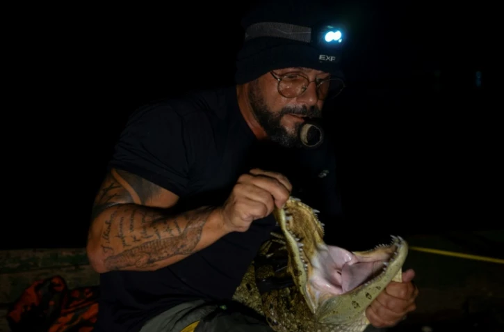 Le biologiste Ricardo Freitas capture un caïman dans la lagune de Jacarepaguá, dans le quartier de Recreio dos Bandeirantes, à l'ouest de Rio de Janeiro, le 22 novembre 2023 au Brésil