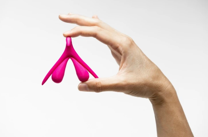 Un clitoris en trois dimensions, photographié le 2 octobre 2019 à Paris