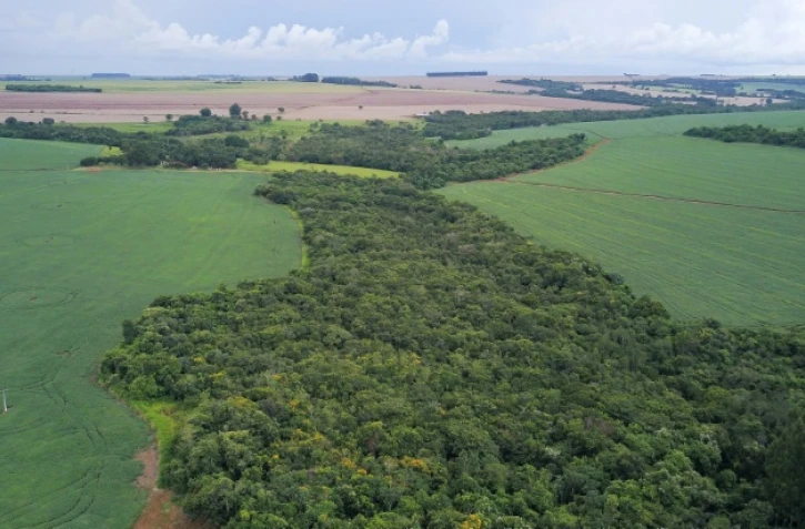 Vue aérienne de la réserve environnementale située dans une plantation de soja dans une ferme à Montividiu, commune de l'Etat de Goias, le 22 janvier 2024