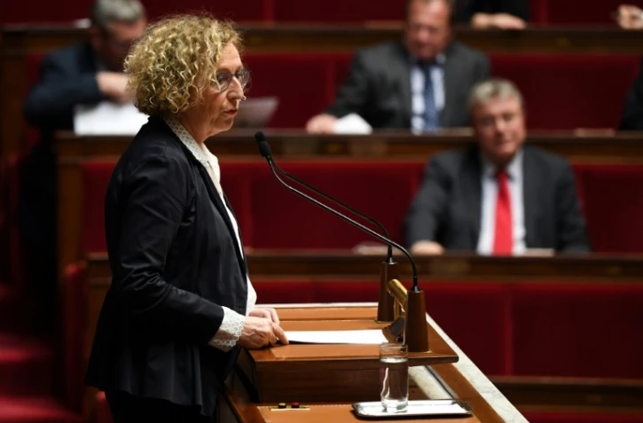 La ministre du Travail Muriel Pénicaud s'exprime devant l'Assemblée nationale, le 20 décembre 2018