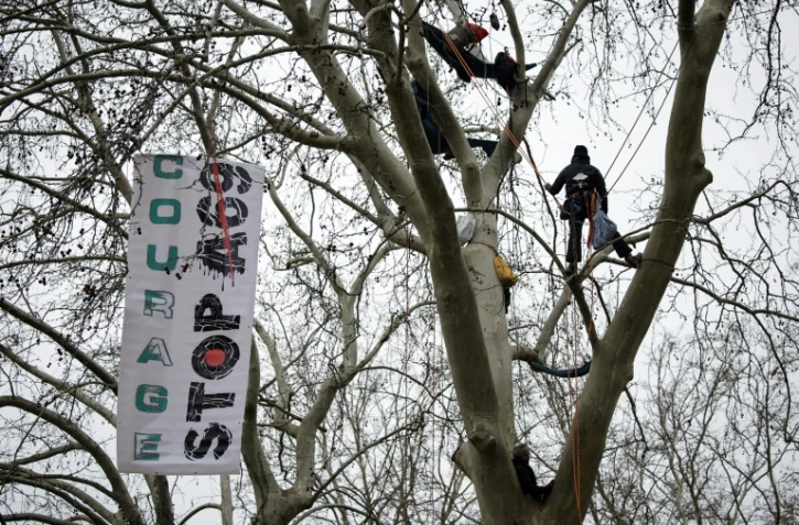 Des militants du GNSA (Groupe national de surveillance des arbres) perchés dans un arbre près d'une banderole "Courage, Stop A69" lors d'une manifestation contre la construction de l'autoroute A69, devant le tribunal administratif de Toulouse, le 17 février 2025 en haute-Garonne