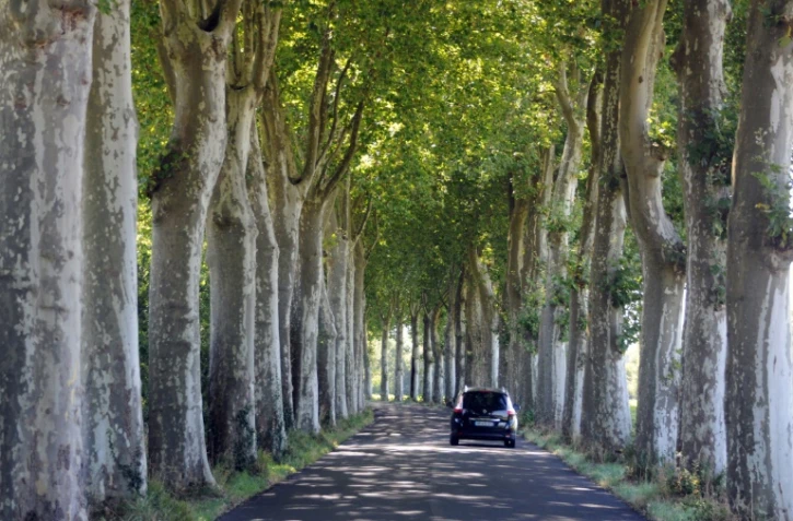 Probable prochaine annonce d'une réduction de la vitesse à 80 km/h sur les routes secondaires en France