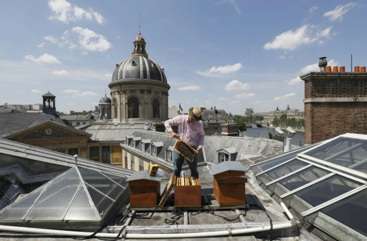 L'apiculteur Audric de Campeau rend visite à ses abeilles sur le toit de la Bibliothèque Mazarine, le 18 juillet 2017 à Paris
