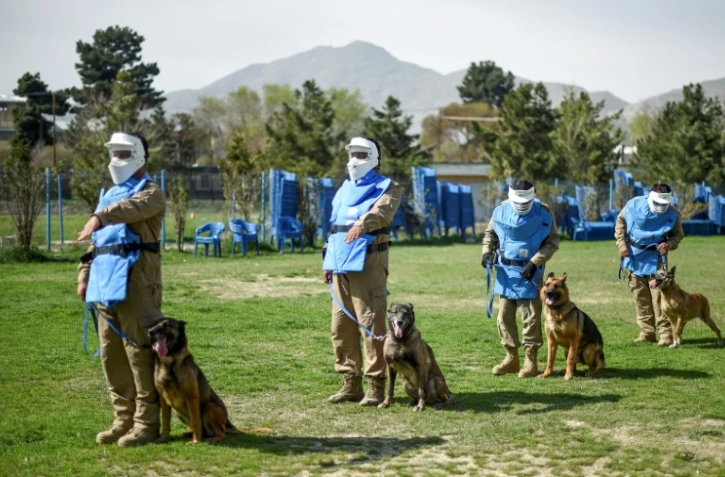Des maîtres-chiens afghans dressent des chiens au déminage, le 7 avril 2019 au Centre de détections des mines (MDC) à Kaboul