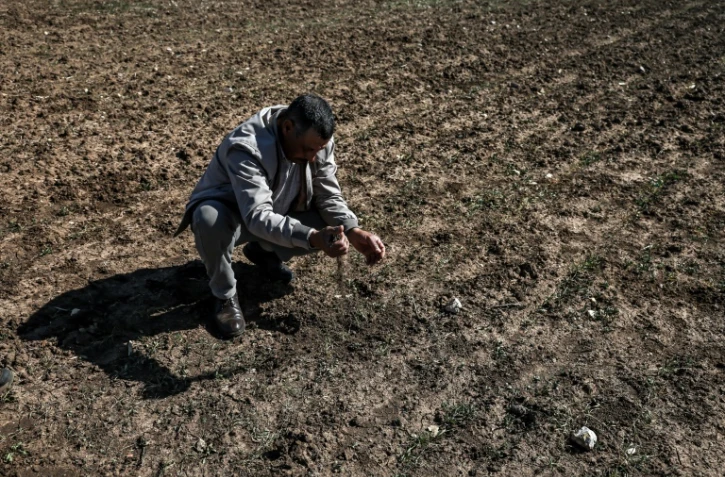 Un agriculteur inspecte son champ de céréales touché par la sécheresse, le 7 février 2024 à Berrechid, dans la province historiquement riche en blé, au sud-est de Casablanca, au Maroc