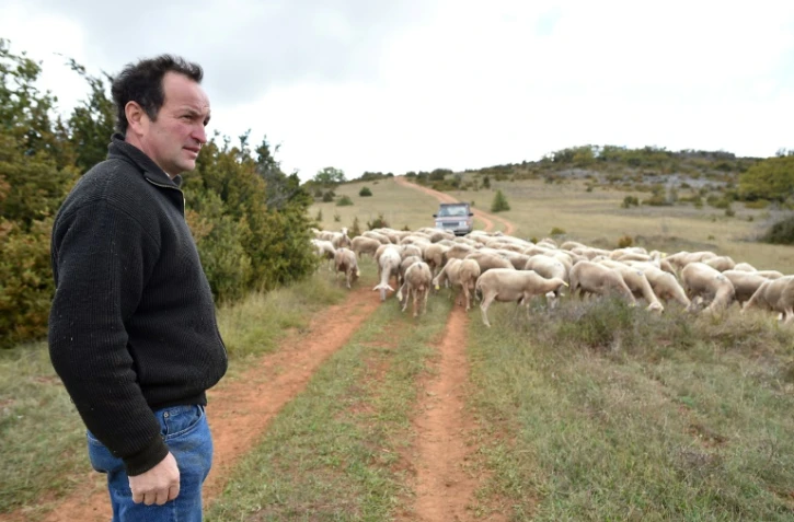L'éleveur Michel Pons sur le plateau du Larzac le 6 octobre 2017