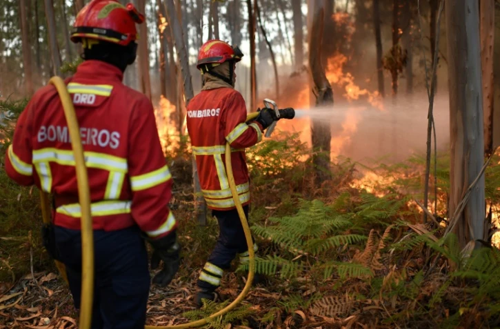 Des pompiers portugais luttent contre un incendie le 10 août 2016 à Macinhata do Vouga au centre du POrtugal