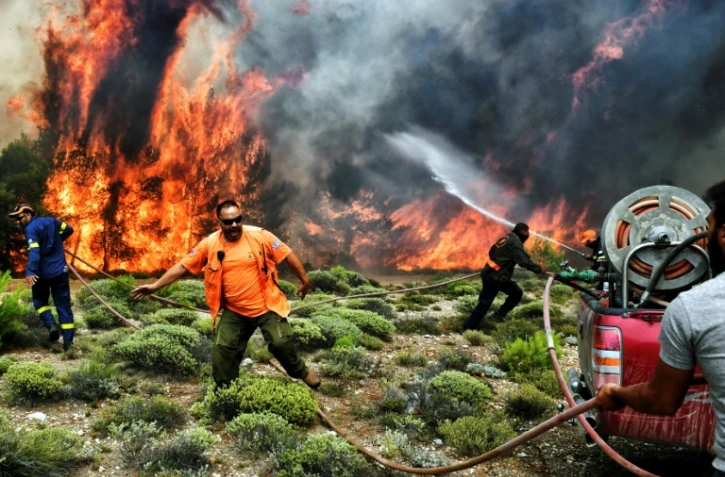 Des pompiers tente d'éteindre un feu de forêt près du village de Kineta, dans la banlieue d'Athènes, le 24 juillet 2018