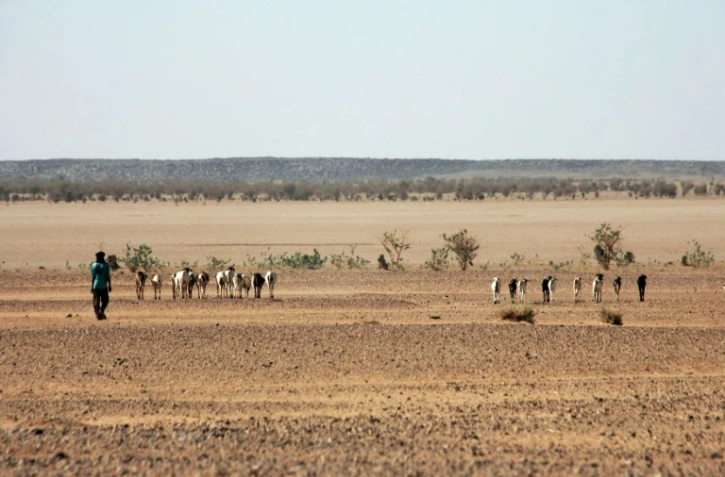 Photo prise dans le désert nigérien le 23 février 2005, entre Agadez et Arlit, à 850 km au nord de Niamey