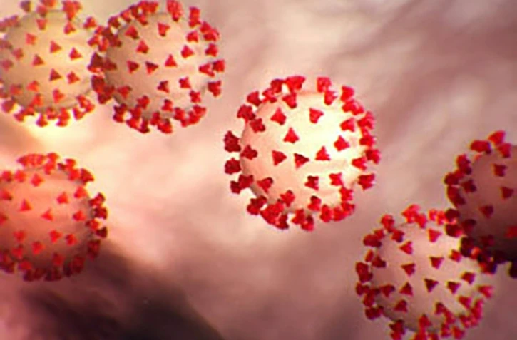 Photo transmise le 27 février 2020 par les Centres pour le contrôle et la prévention des maladies à Washington, représentant le coronavirus Covid-19