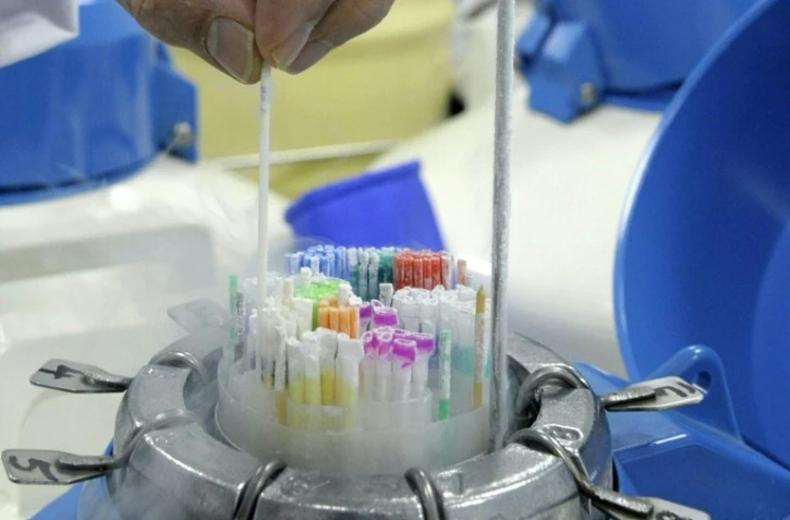 Des paillettes de sperme congelées et conservées dans des cuves d'azote liquide, le 25 Mars 2010 à l'hôpital Femme-Mère-Enfant de Lyon