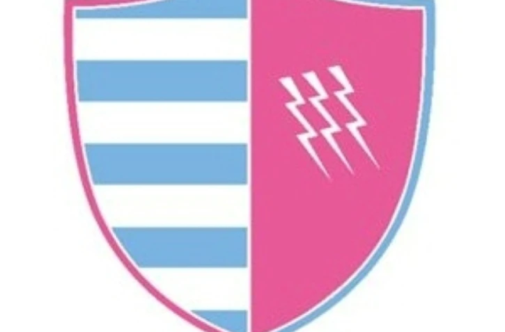 Un logo utilisé pour l'annonce du projet de fusion du Racing 92 (partie gauche) et du Stade Français (partie droite), le 13 mars 2017