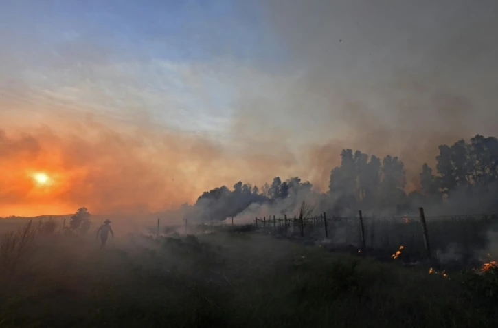 Un incendie de forêt près de Melloula, dans le nord-ouest de la Tunisie, près de la frontière avec l'Algérie, le 24 juillet 2023