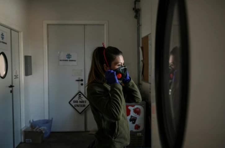 Une soigneuse du zoo "Zoom Torino" ajuste son masque de protection contre le coronavirus, le 18 mars 2020 à Cumiana, près de Turin (Italie)