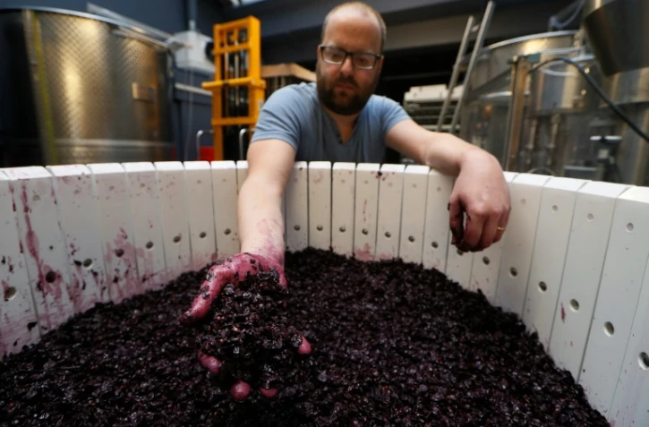 Un employé des "Vignerons parisiens à l'oeuvre à Paris; le 19 octobre 2016