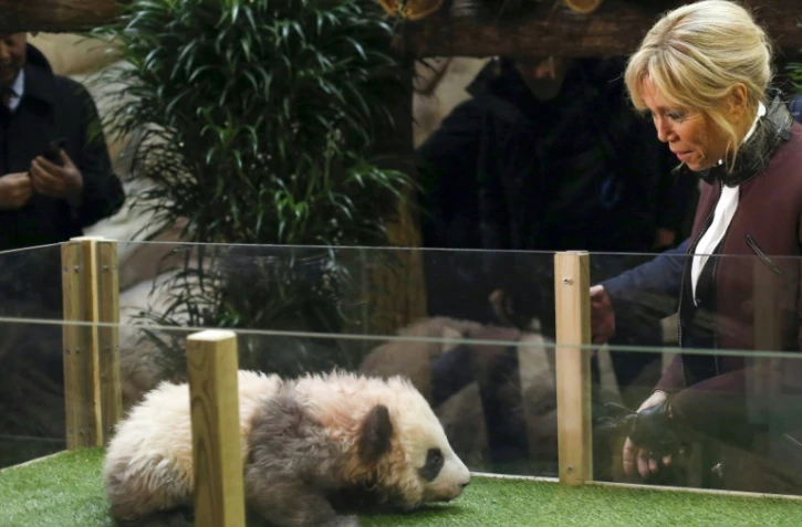 L'épouse du président français, Brigitte Macron, marraine du bébé panda Yuan Meng, le 4 décembre 2017 au zoo de Beauval