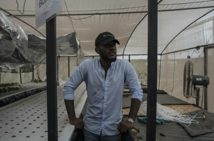 Peter Okocha Junior, fondateur de PS Nutrac montre les serres où il cultive en aéroponie, le 5 juin 2018 à Wasinmi, près d'Abeokuta, au Nigeria