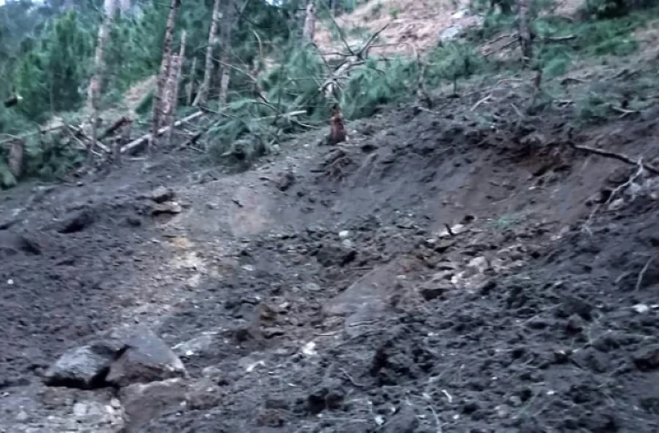 Photo transmise par les autorités pakistanaises le 26 février 2019 des dommages causés aux arbres et au terrain après une frappe de l'armée de l'air indienne à Balakot