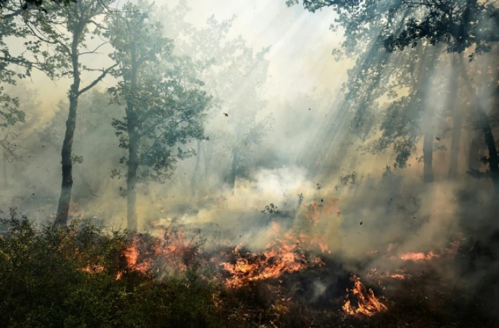 Un incendie à Artigues, dans le Var, le 25 juillet 2017
