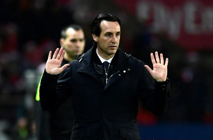 L'entraîneur du PSG lors du match face à Lorient au Parc des Princes, le 21 décembre 2016