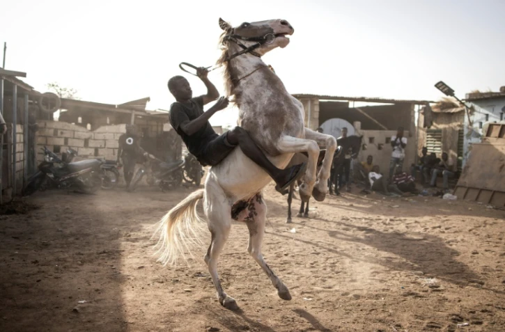 Un jockey s'entraîne à contrôler son cheval, à Ouagadougou le 1er février 2022

