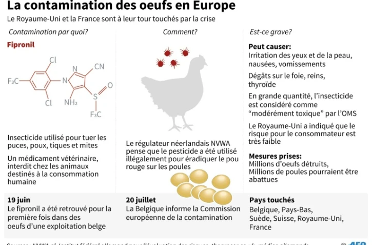La contamination des oeufs en Europe