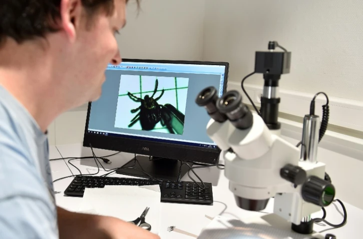 Observation d'une tique au microscope dans un laboratoire de l'Institut national de la recherche agronomique (Inra) à Champenoux (Meurthe-et-Moselle), le 28 septembre 2018