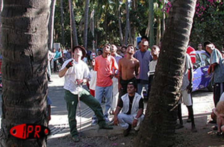 Lors de la 6ème édition concours de grimper de cocotiers  en août 2001 à Saint-Paul