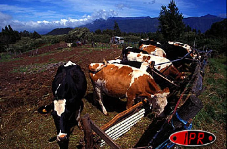 &quot;Bienvenue à la Ferme&quot; organise une journée portes ouvertes. L'occasion de retrouver des produits du terroir dans une ambiance conviviale