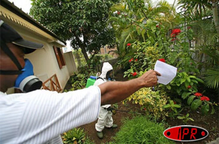 Jeudi 5 octobre 2006 

La DRASS va lancer une opération kass Moustik visant à impliquer fortement la population dans la lutte contre le moustique vecteur du chikungunya
